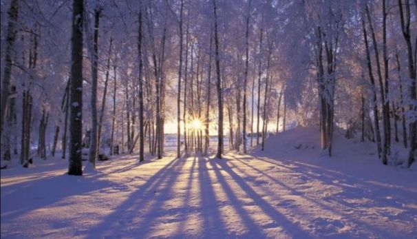 sunshine through the snow