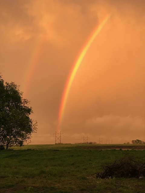 double rainbow